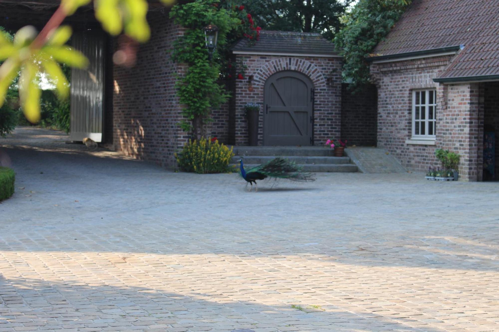 Imagine B&B Wortegem المظهر الخارجي الصورة